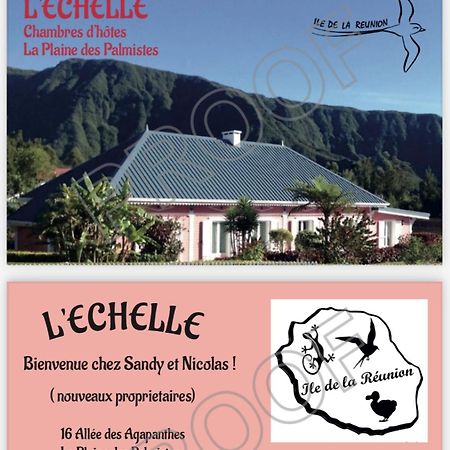 L'Echelle Bed and Breakfast La Plaine des Palmistes Εξωτερικό φωτογραφία