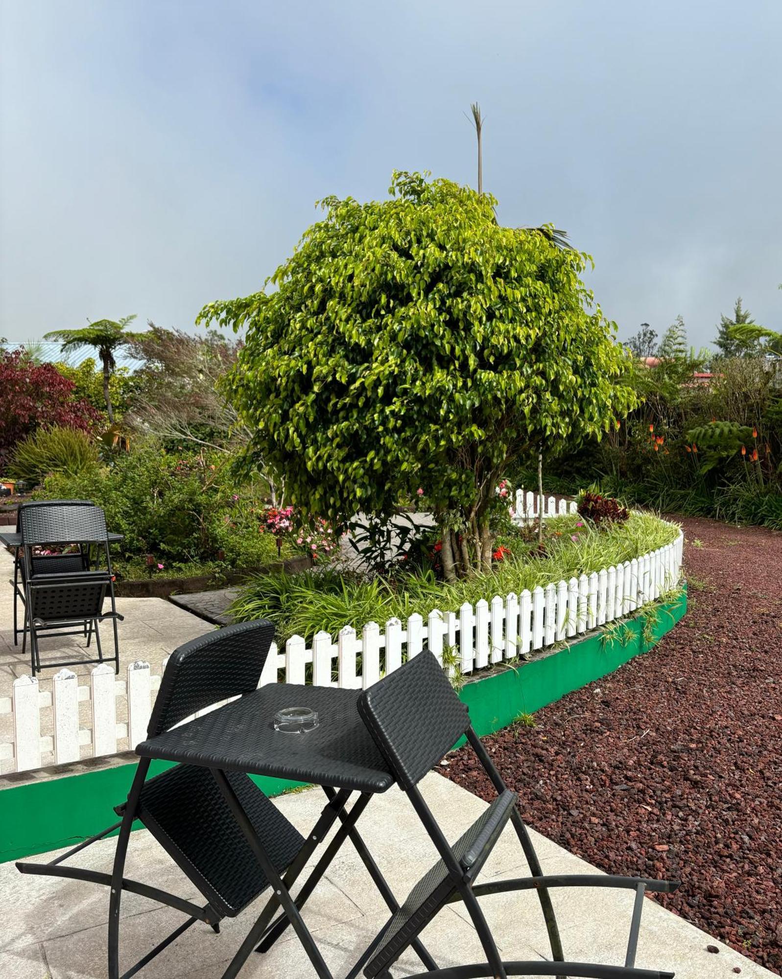 L'Echelle Bed and Breakfast La Plaine des Palmistes Εξωτερικό φωτογραφία